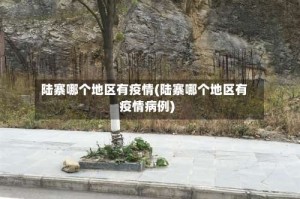 陆寨哪个地区有疫情(陆寨哪个地区有疫情病例)