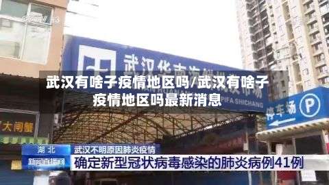 武汉有啥子疫情地区吗/武汉有啥子疫情地区吗最新消息-第3张图片
