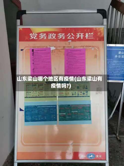 山东梁山哪个地区有疫情(山东梁山有疫情吗?)-第2张图片