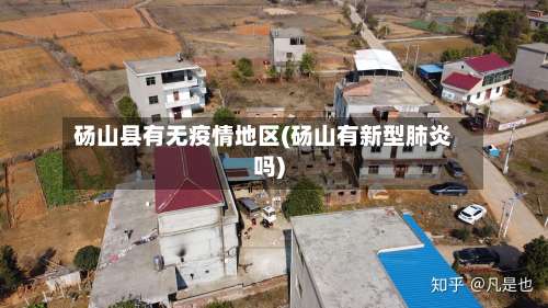 砀山县有无疫情地区(砀山有新型肺炎吗)-第2张图片
