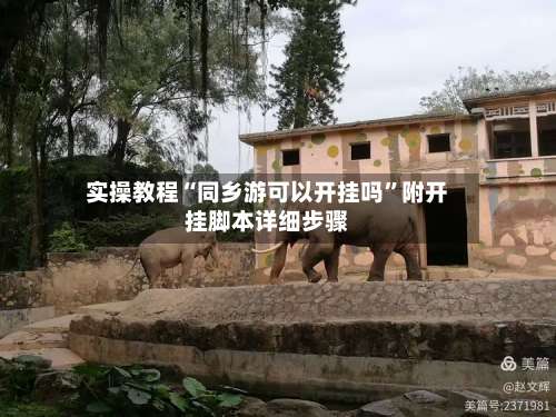 实操教程“同乡游可以开挂吗”附开挂脚本详细步骤-第3张图片