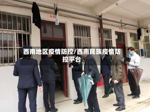 西南地区疫情防控/西南民族疫情防控平台-第2张图片
