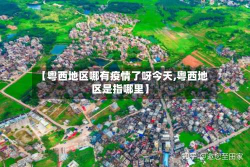 【粤西地区哪有疫情了呀今天,粤西地区是指哪里】-第3张图片
