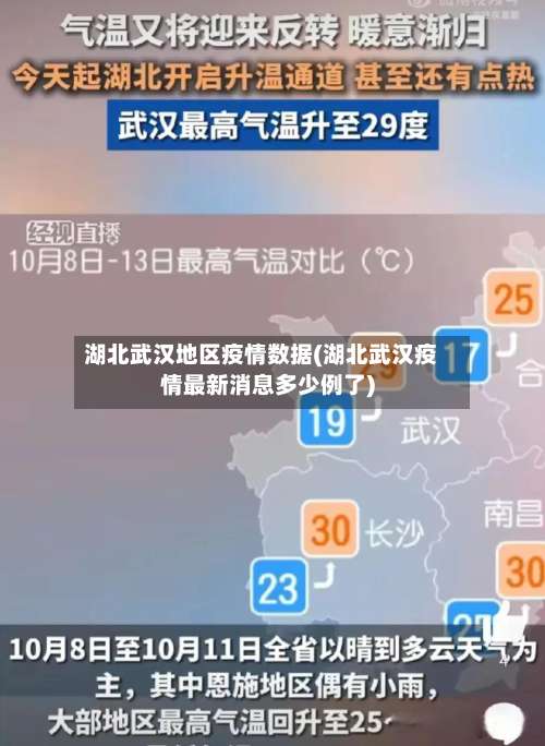 湖北武汉地区疫情数据(湖北武汉疫情最新消息多少例了)-第1张图片