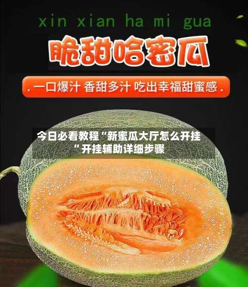 今日必看教程“新蜜瓜大厅怎么开挂”开挂辅助详细步骤-第2张图片