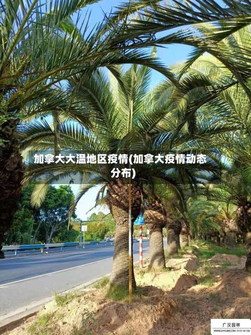 加拿大大温地区疫情(加拿大疫情动态分布)-第1张图片