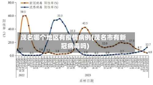 茂名哪个地区有疫情病例(茂名市有新冠病毒吗)-第1张图片