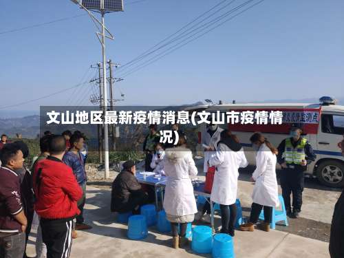 文山地区最新疫情消息(文山市疫情情况)-第1张图片